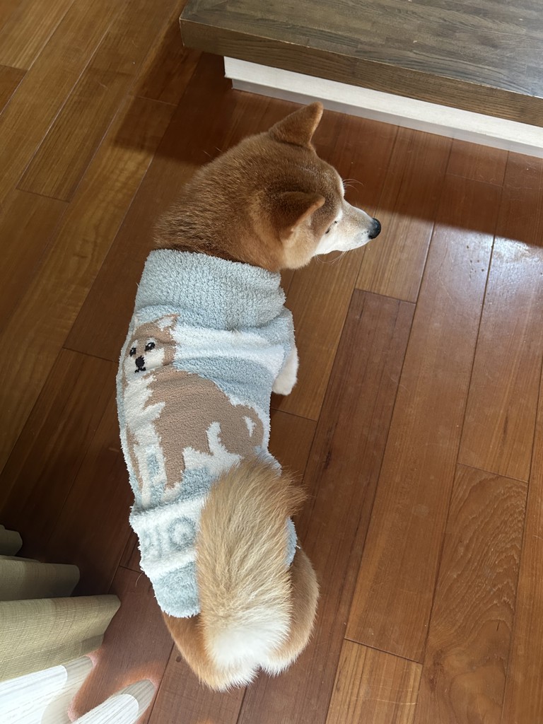 CAT&DOG】ベビモコ柴犬ジャガードプルオーバー(ウェア)|ルーム CAT&DOG】ベビモコ柴犬ジャガードプルオーバー(ウェア)|ルーム