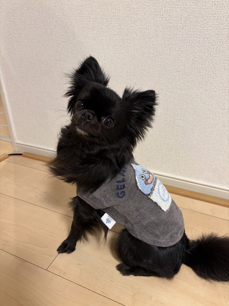 ユーザー写真