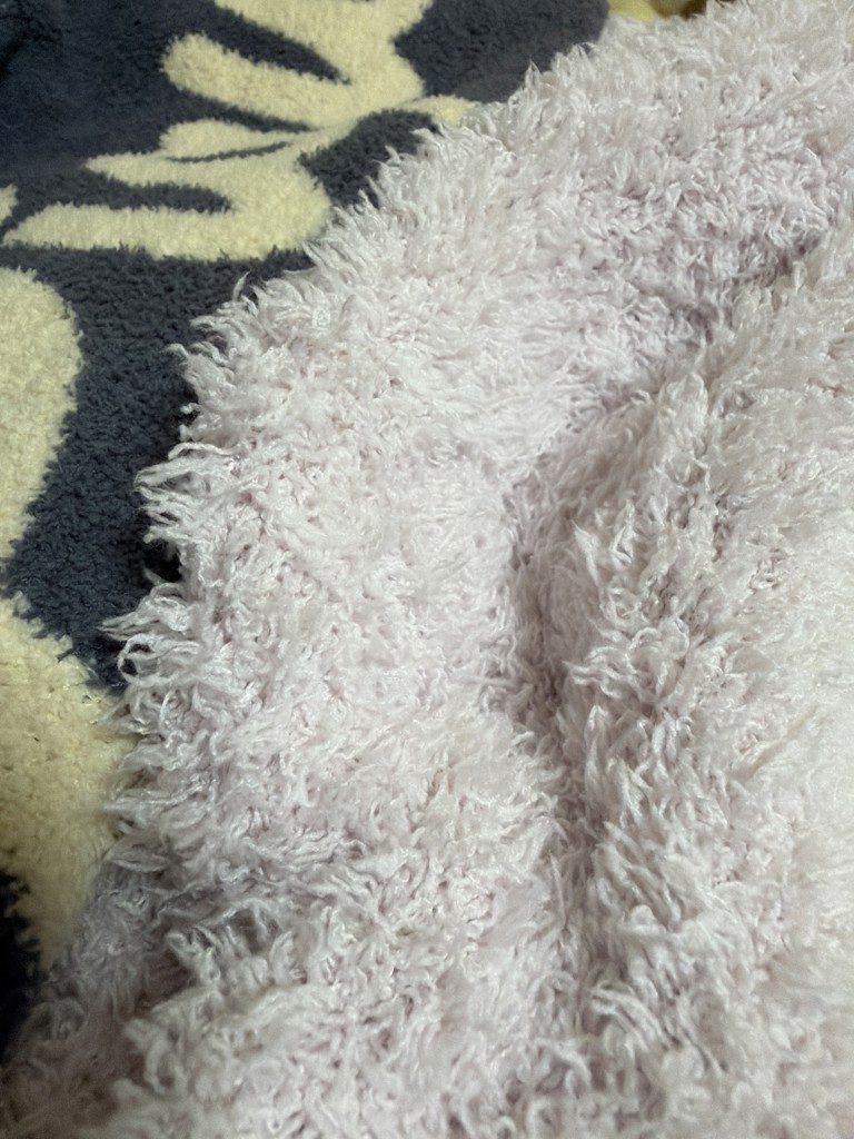 投稿写真