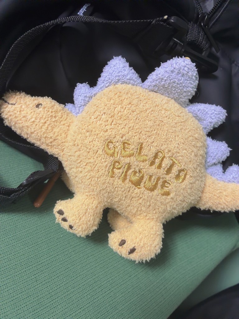投稿写真