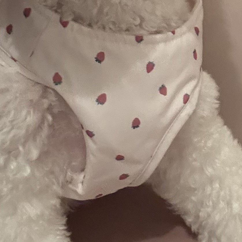 投稿写真