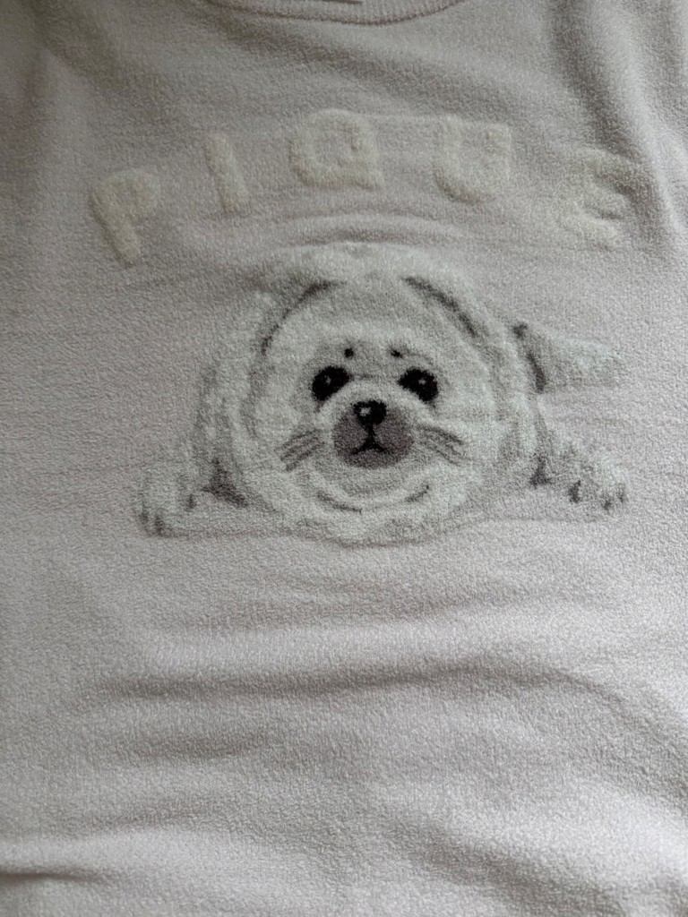投稿写真