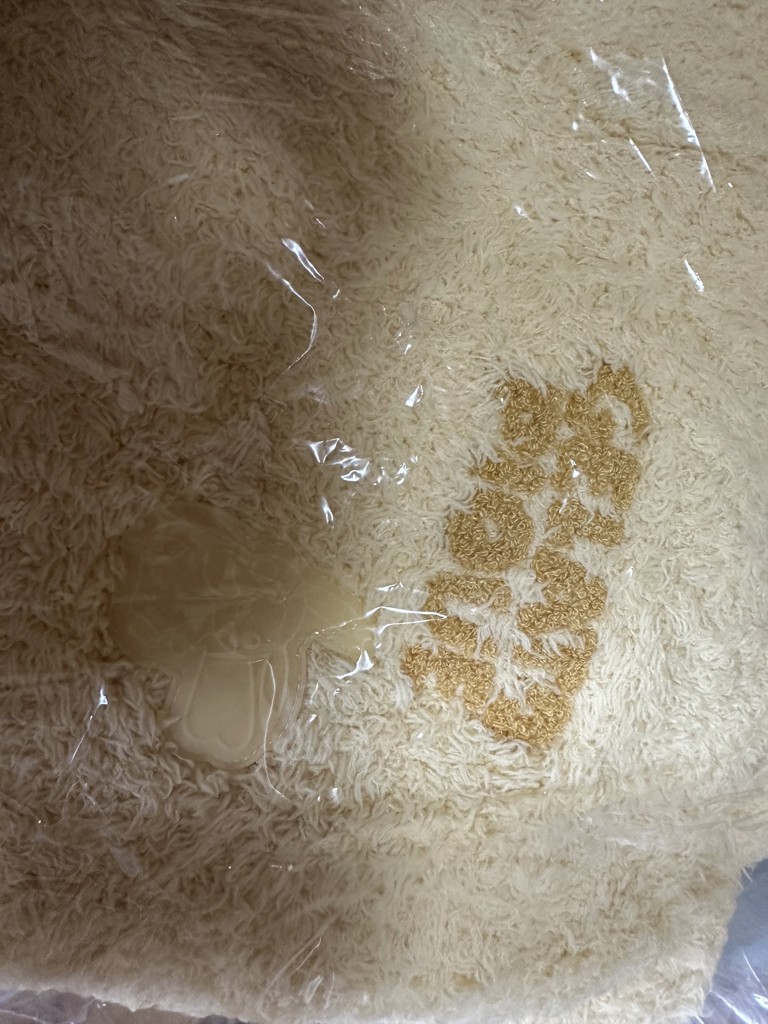 投稿写真