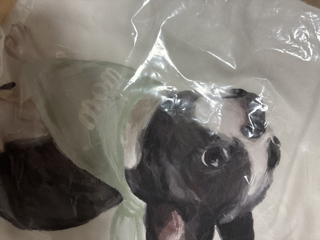 ユーザー写真