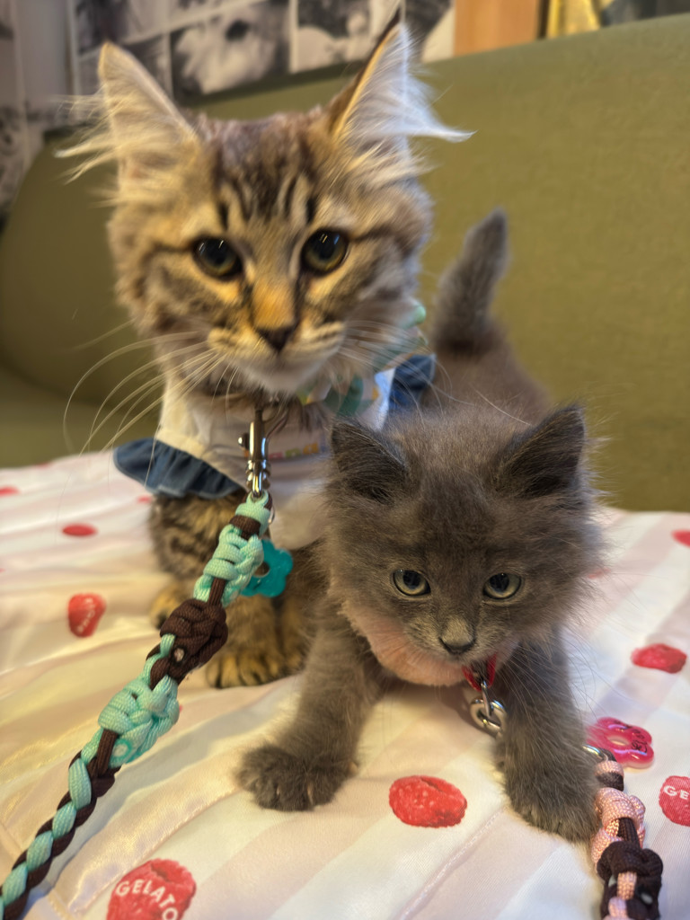 ユーザー写真