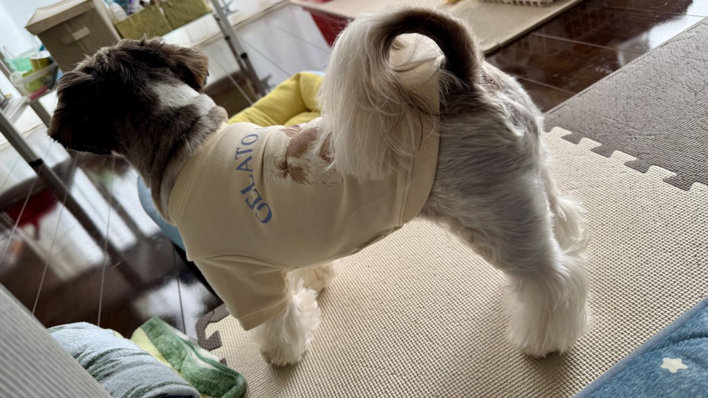 ユーザー写真
