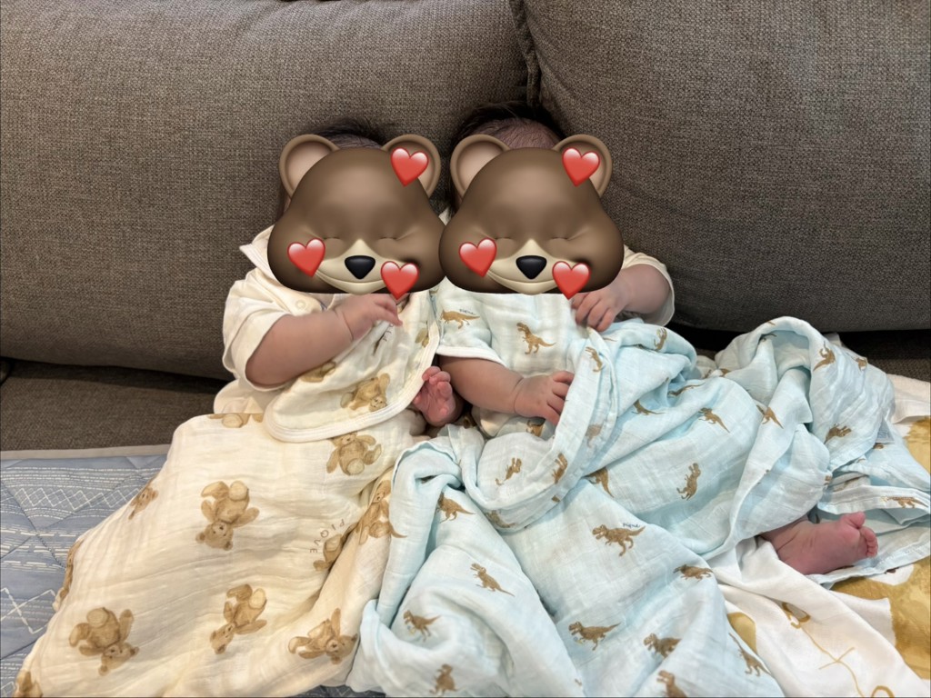 投稿写真
