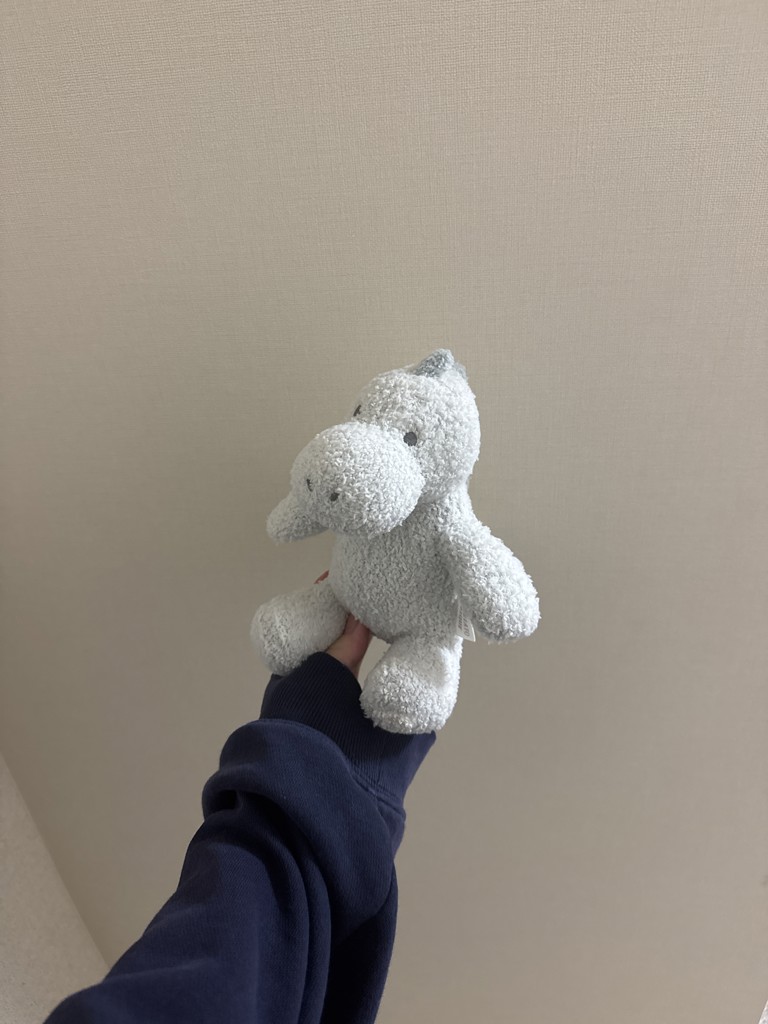 投稿写真
