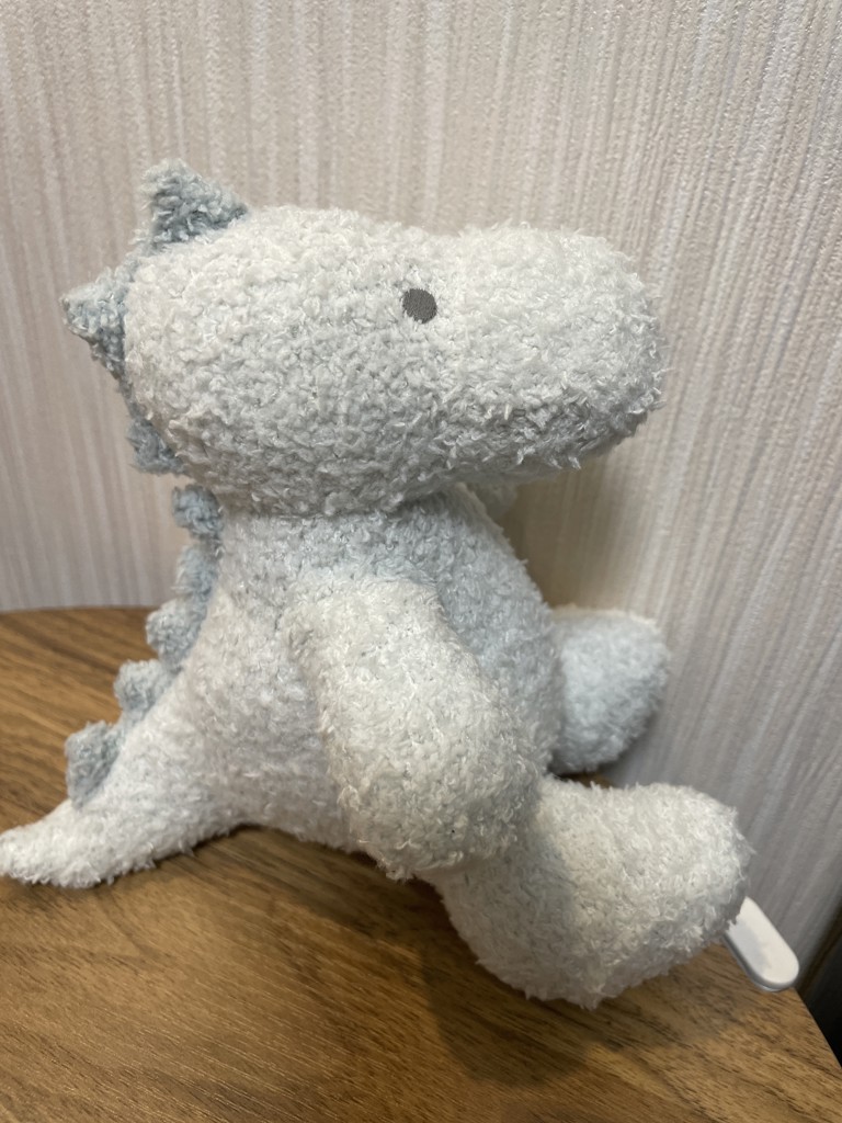 投稿写真