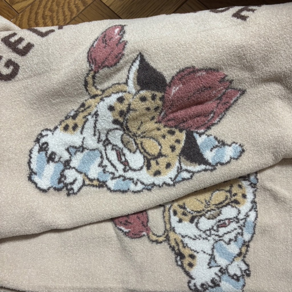 投稿写真