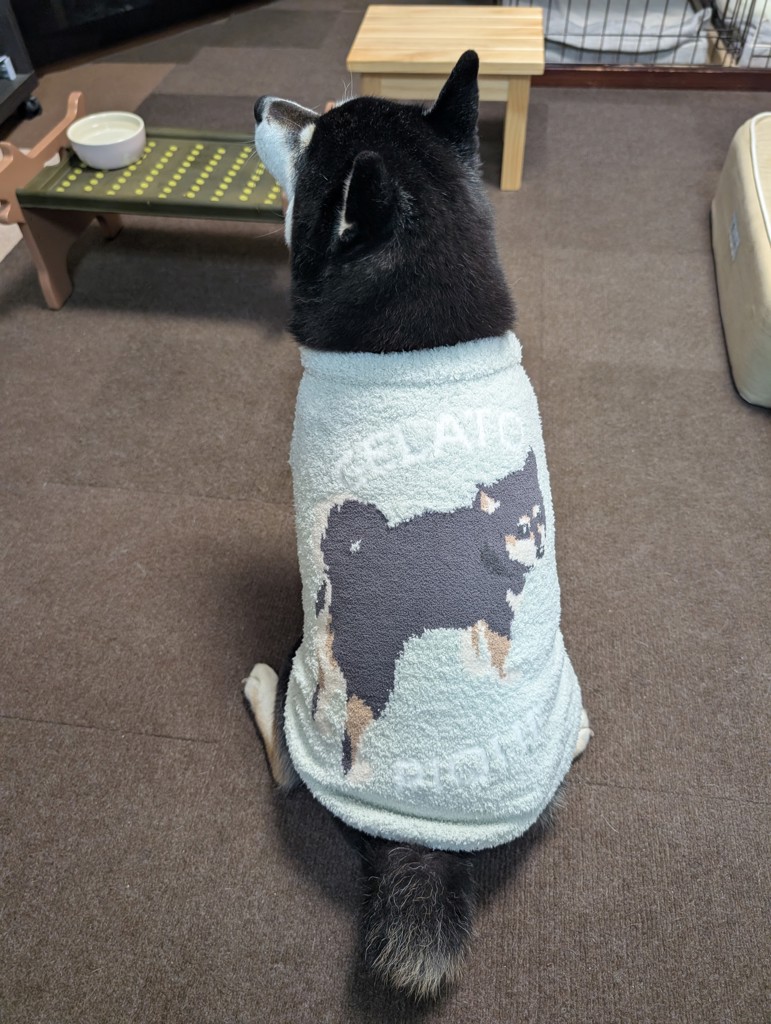 ユーザー写真