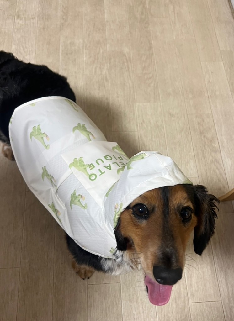 投稿写真