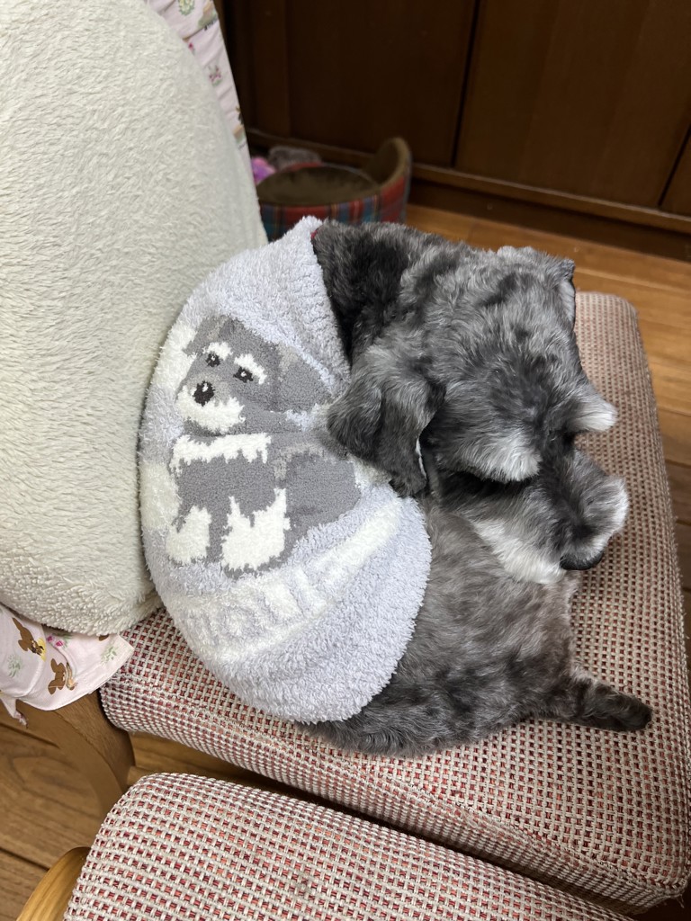 CAT&DOG】ベビモコシュナウザージャガードプルオーバーの口コミ一覧