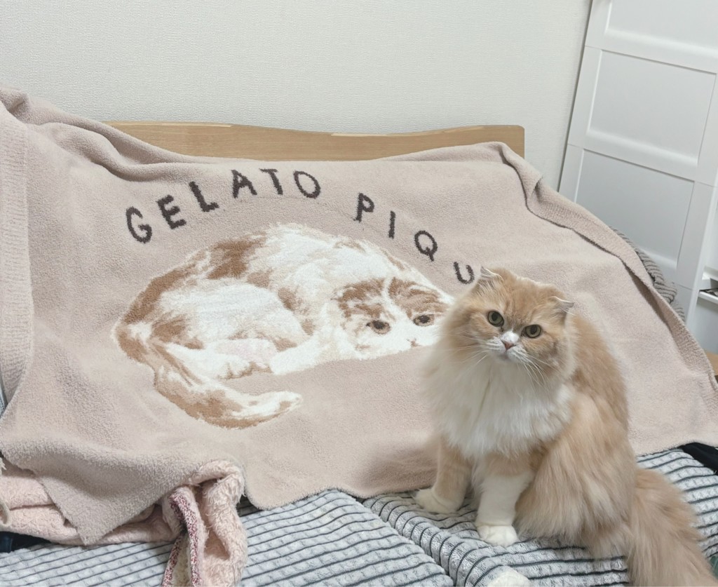 CATジャガードブランケット(ブランケット)｜ルームウェア