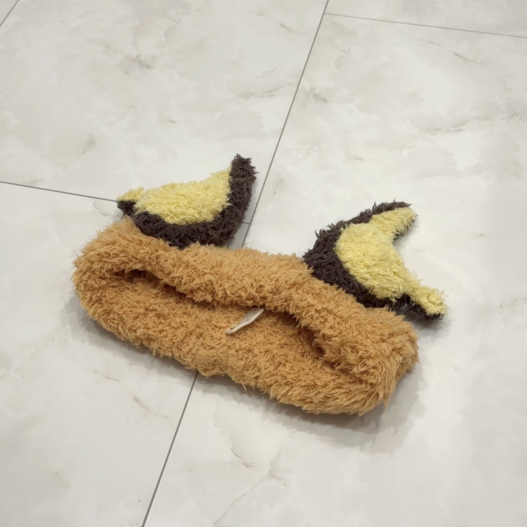 投稿写真