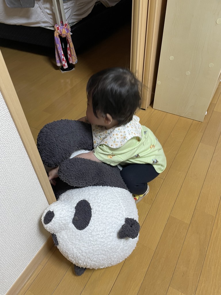 投稿写真