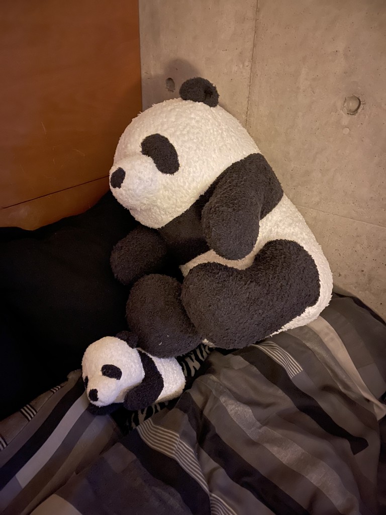 投稿写真