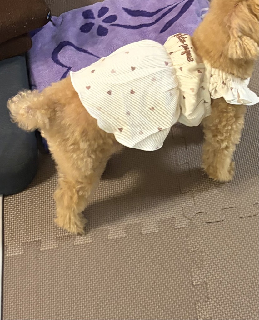 投稿写真