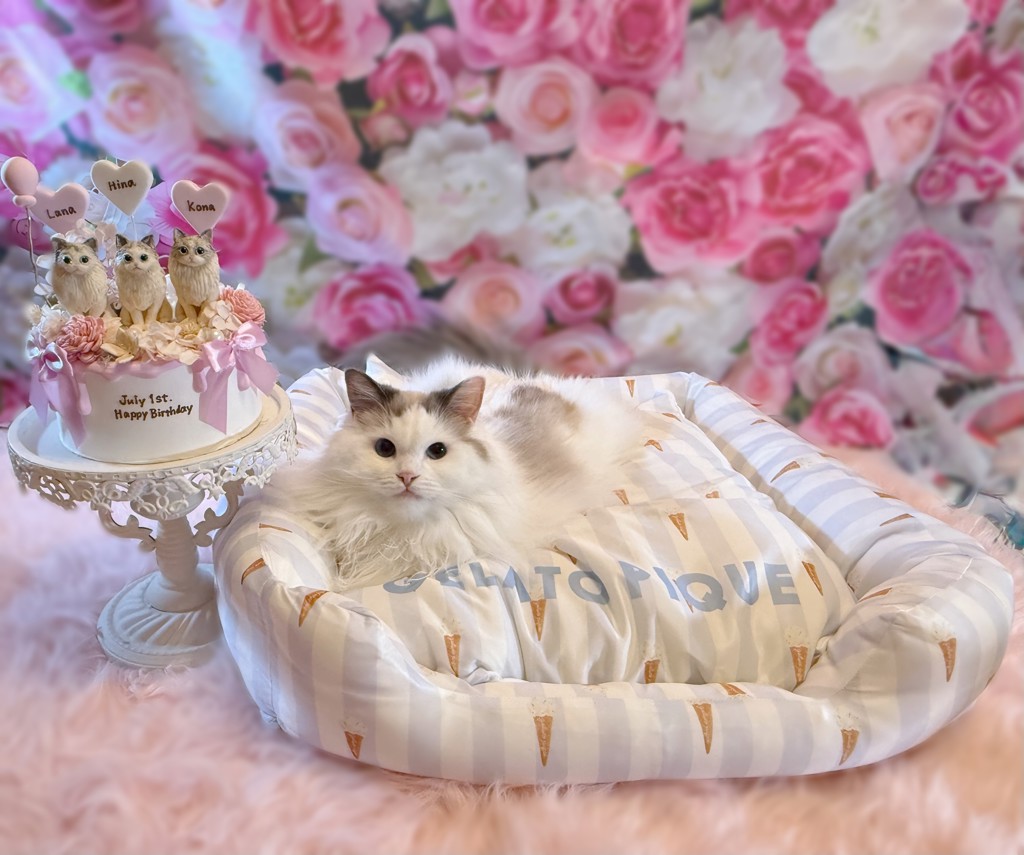 ユーザー写真