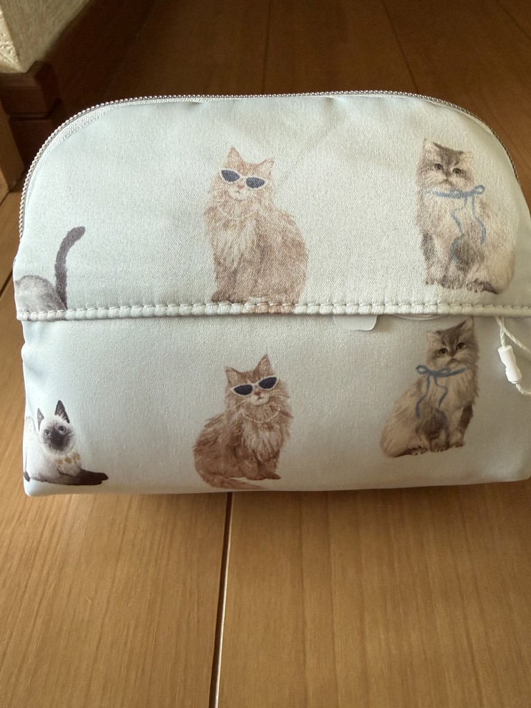 投稿写真