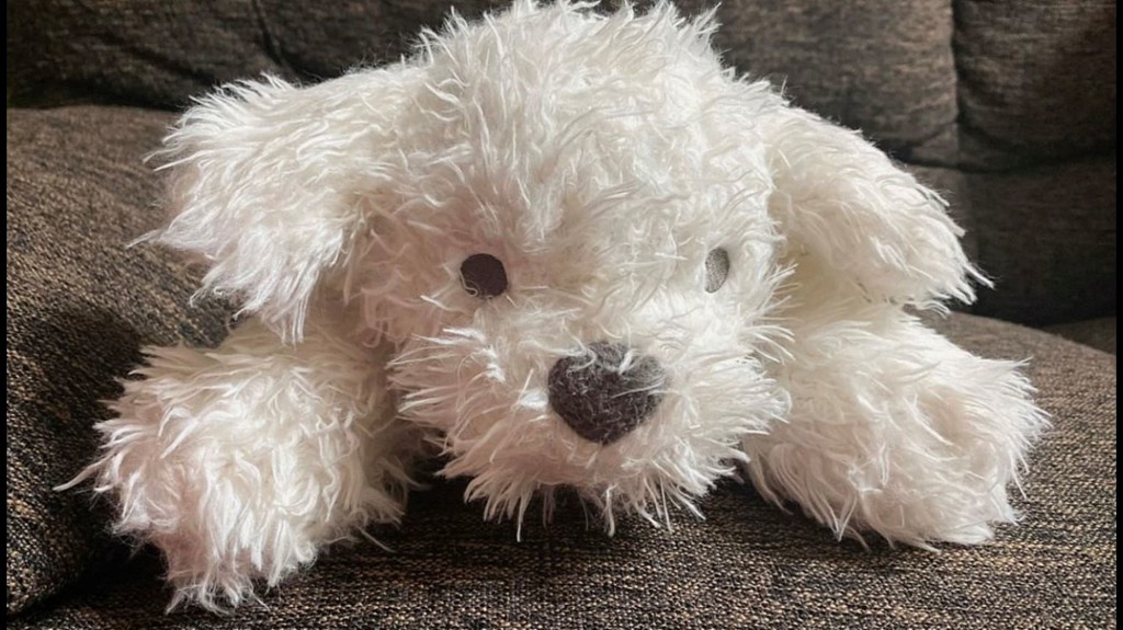 ジェラートピケ くたくたマルチーズ　クッション ぬいぐるみ　犬 Amazon.co.jp: [ジェラート ピケ] sleep くたくたマルチーズ