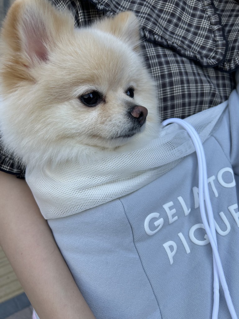 投稿写真