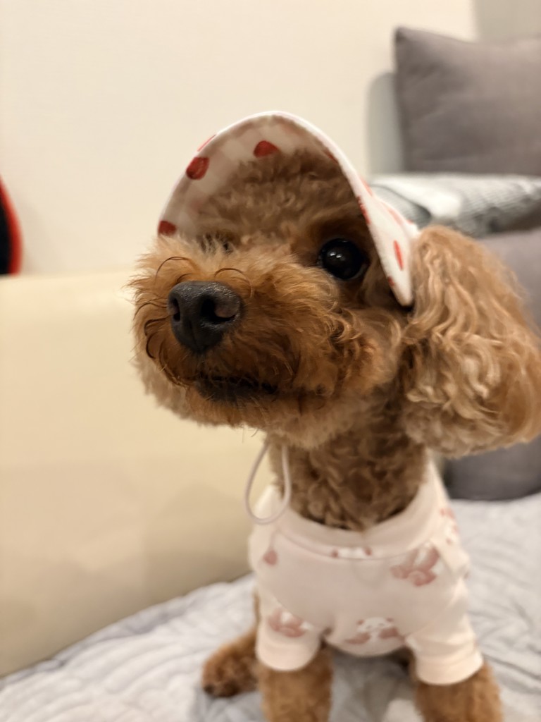 ユーザー写真