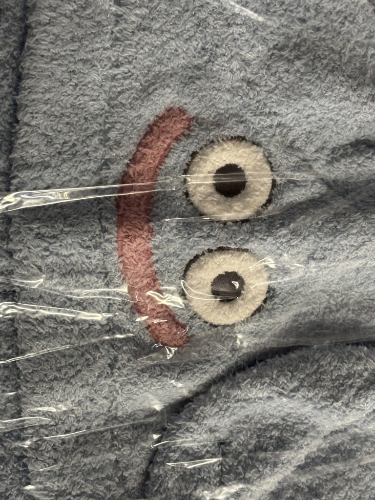 投稿写真