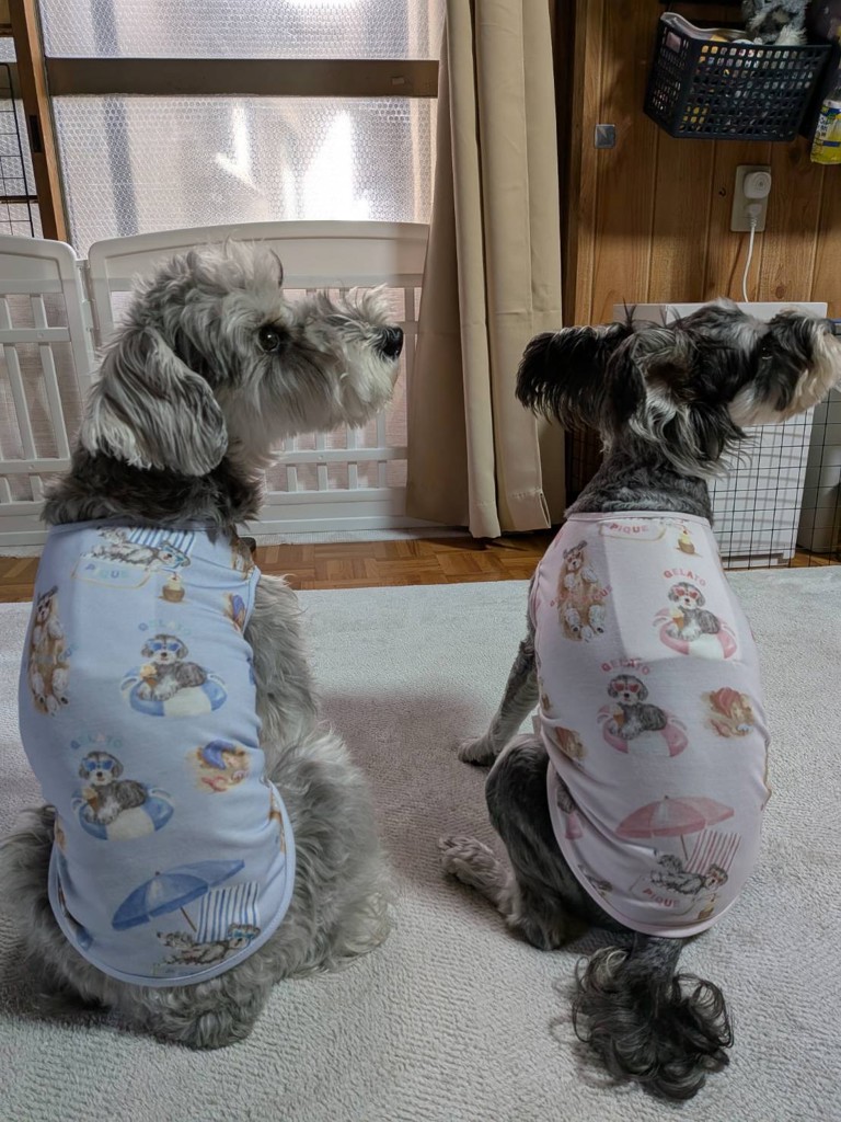 ユーザー写真