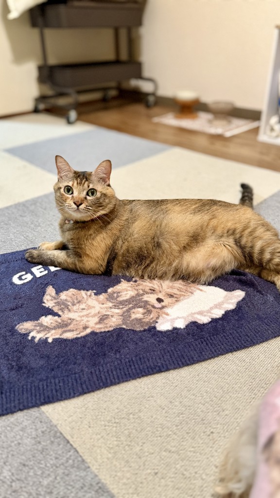 ユーザー写真