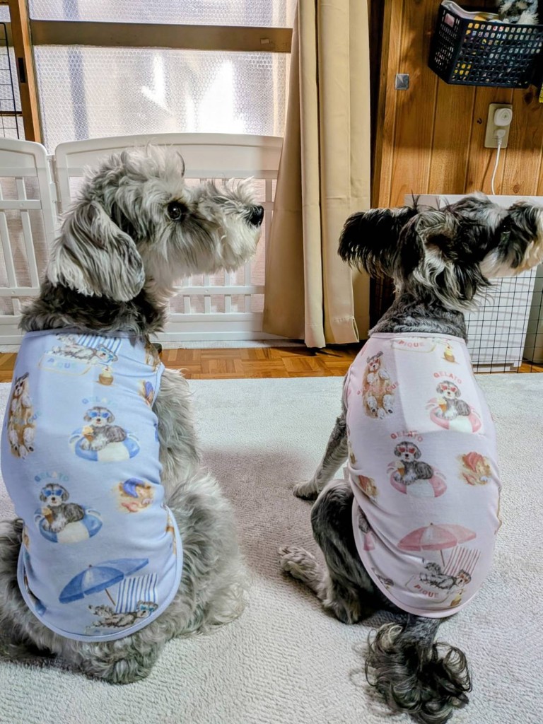 ユーザー写真