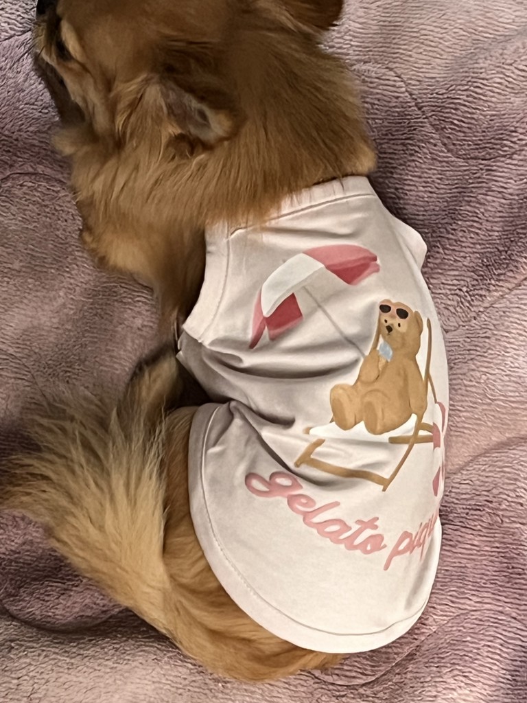 ユーザー写真