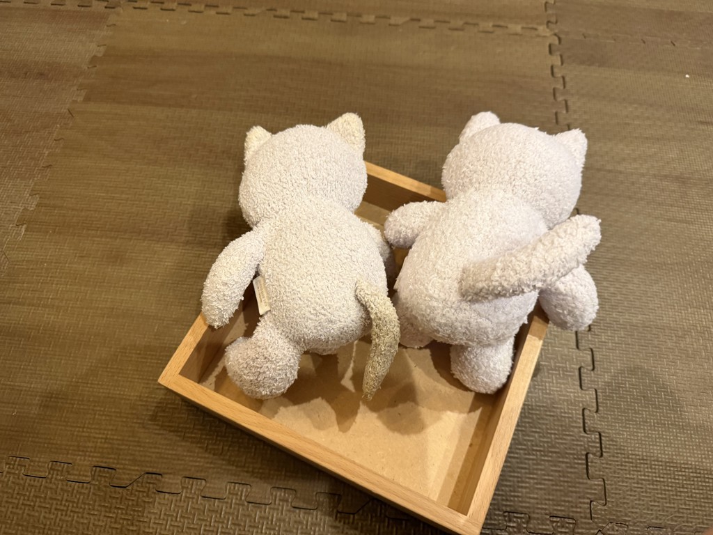 投稿写真