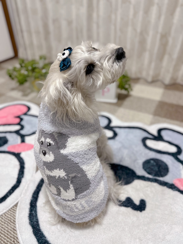 CAT&DOG】ベビモコシュナウザージャガードプルオーバーの口コミ一覧