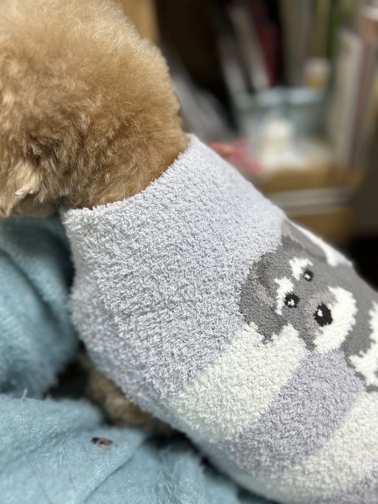 CAT&DOG】ベビモコシュナウザージャガードプルオーバーの口コミ一覧