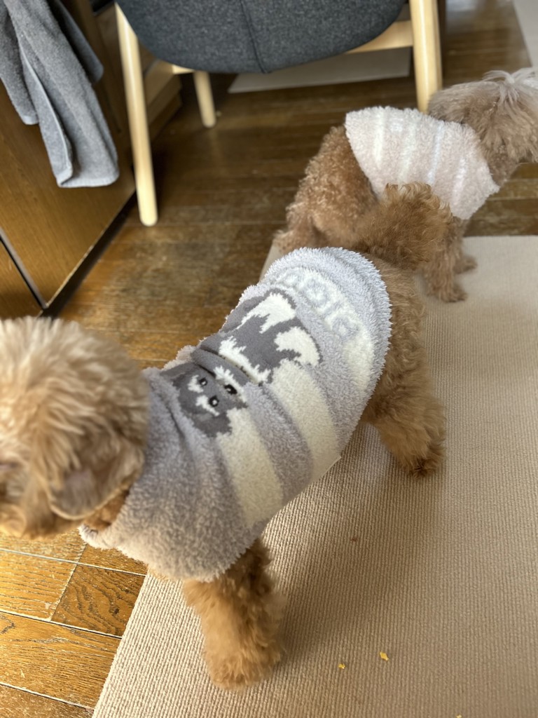 CAT&DOG】ベビモコシュナウザージャガードプルオーバーの口コミ一覧