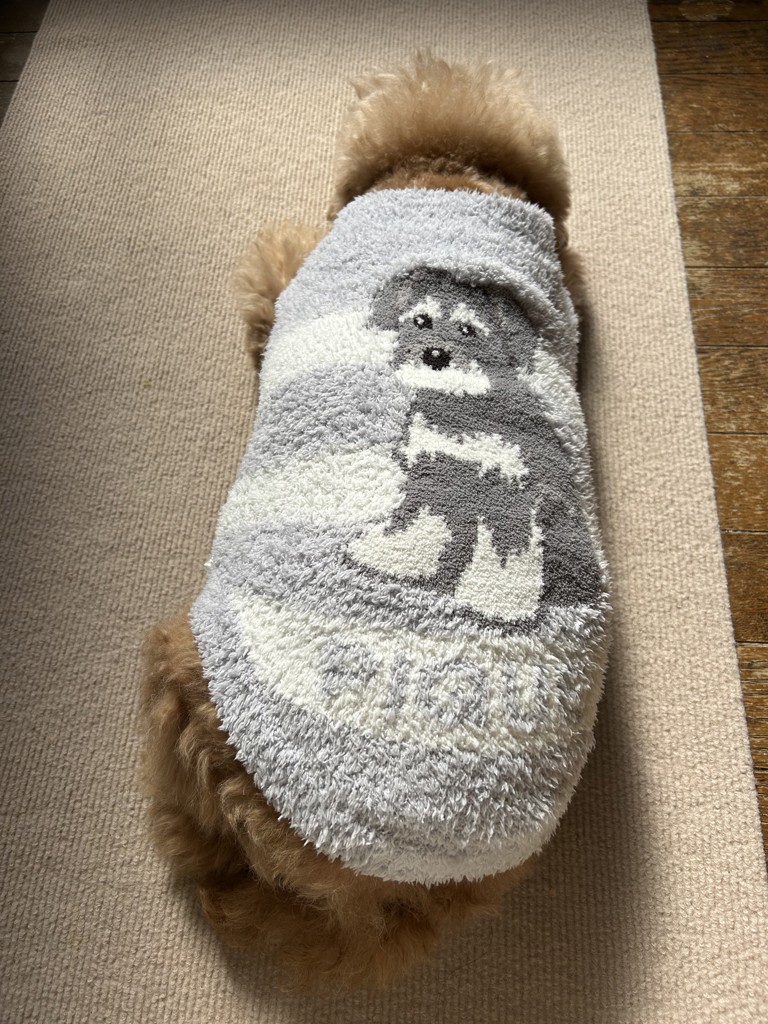 CAT&DOG】ベビモコシュナウザージャガードプルオーバーの口コミ一覧