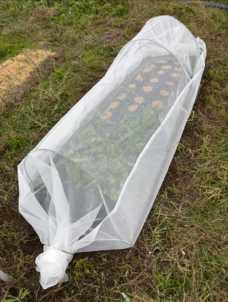 寒冷紗 白(180cmX20m): 園芸