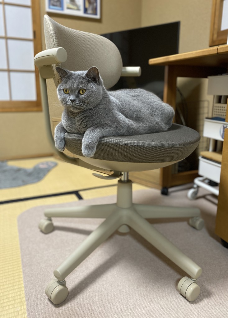 ユーザー写真