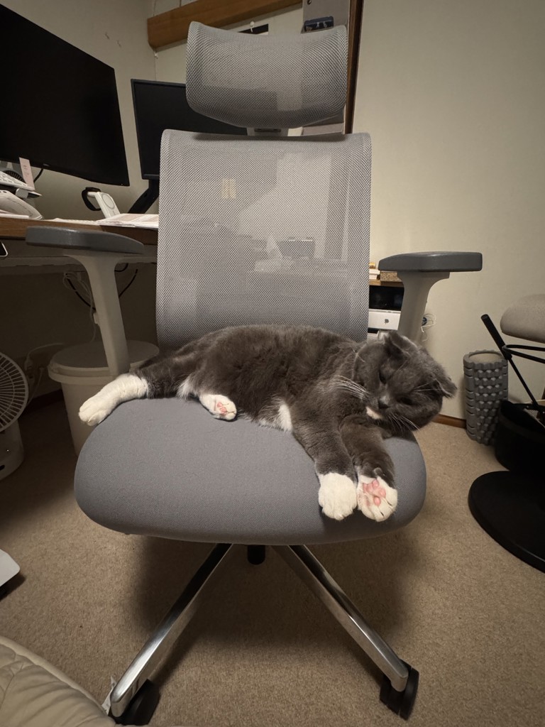 ユーザー写真