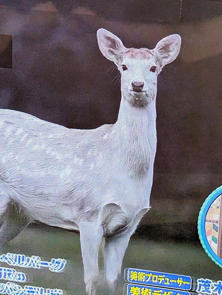 ユーザー写真