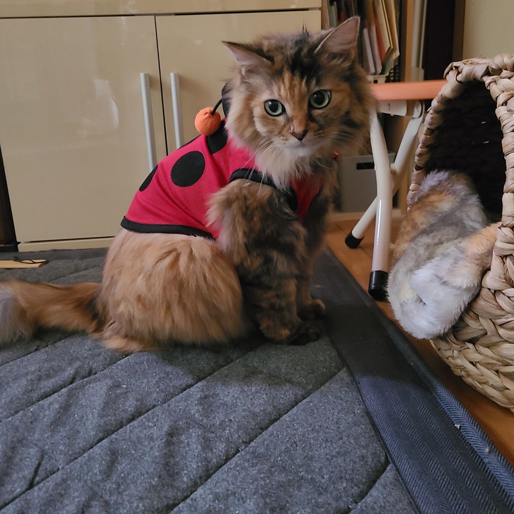 ユーザー写真