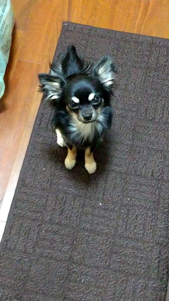 ユーザー写真