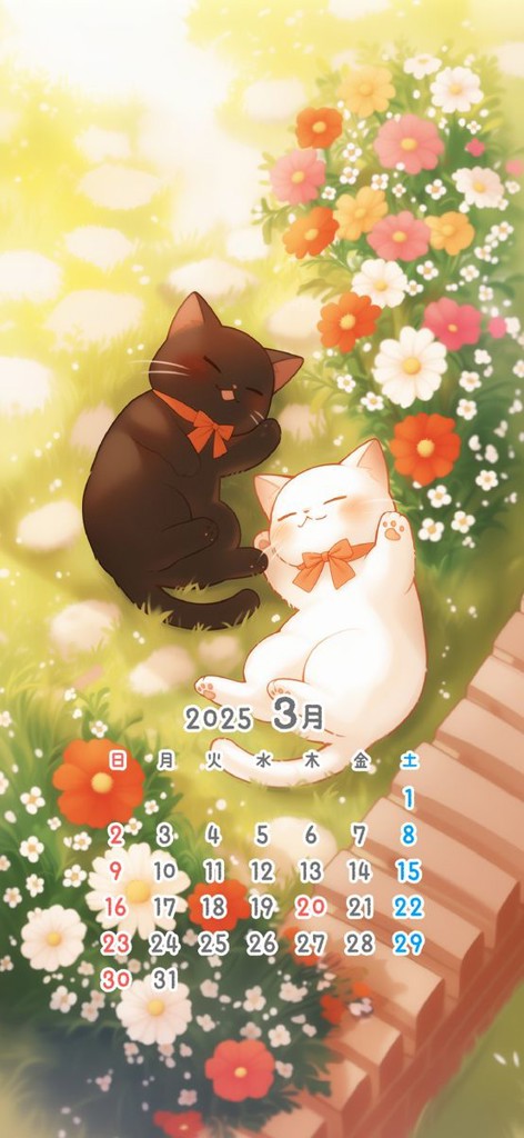 投稿写真