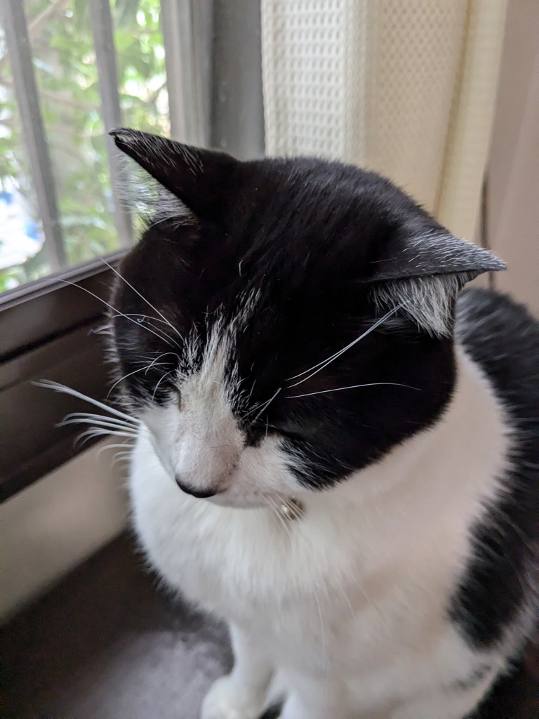 投稿写真