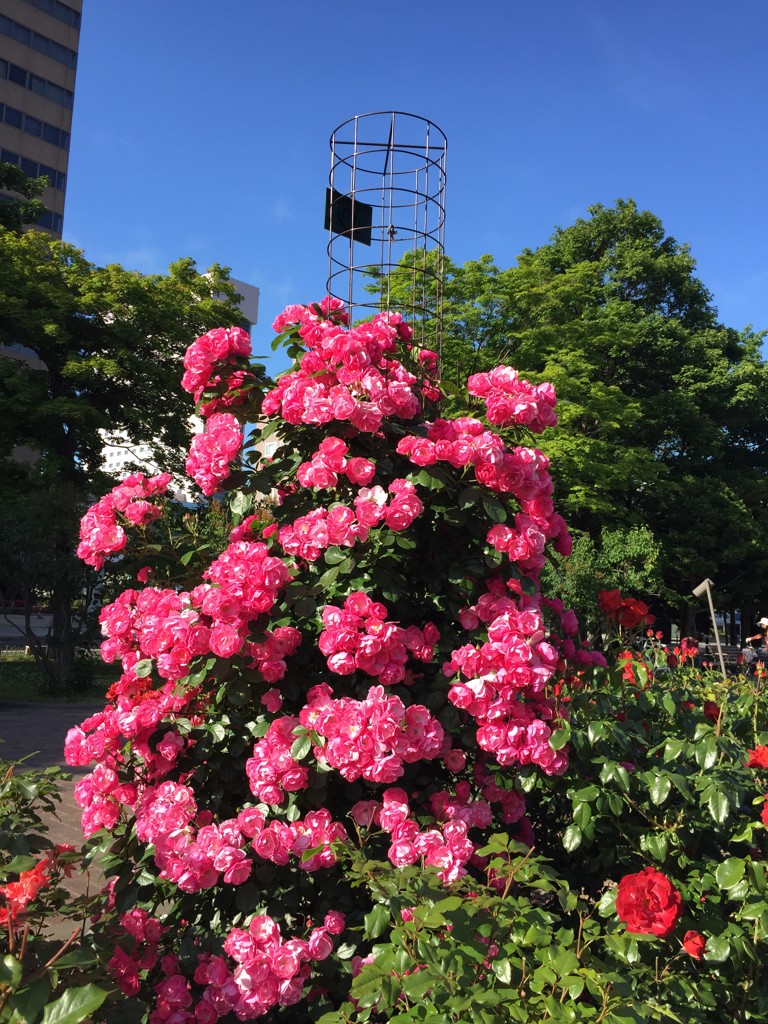 ユーザー写真