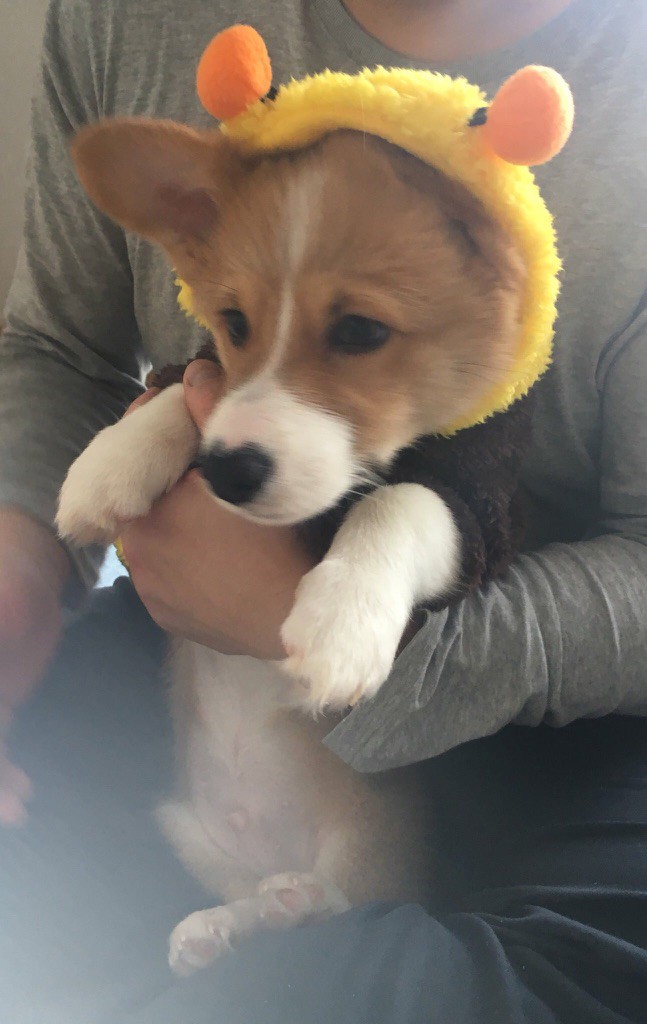 ユーザー写真