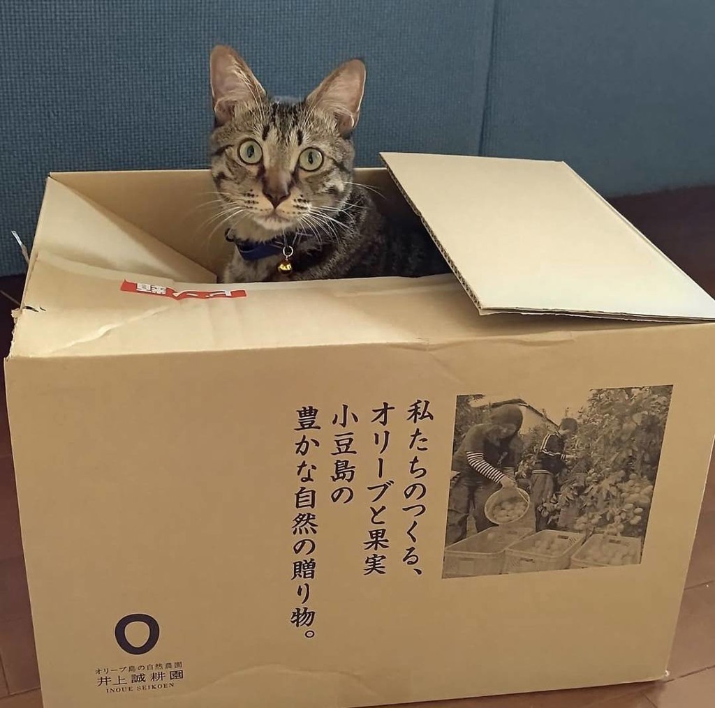 投稿写真