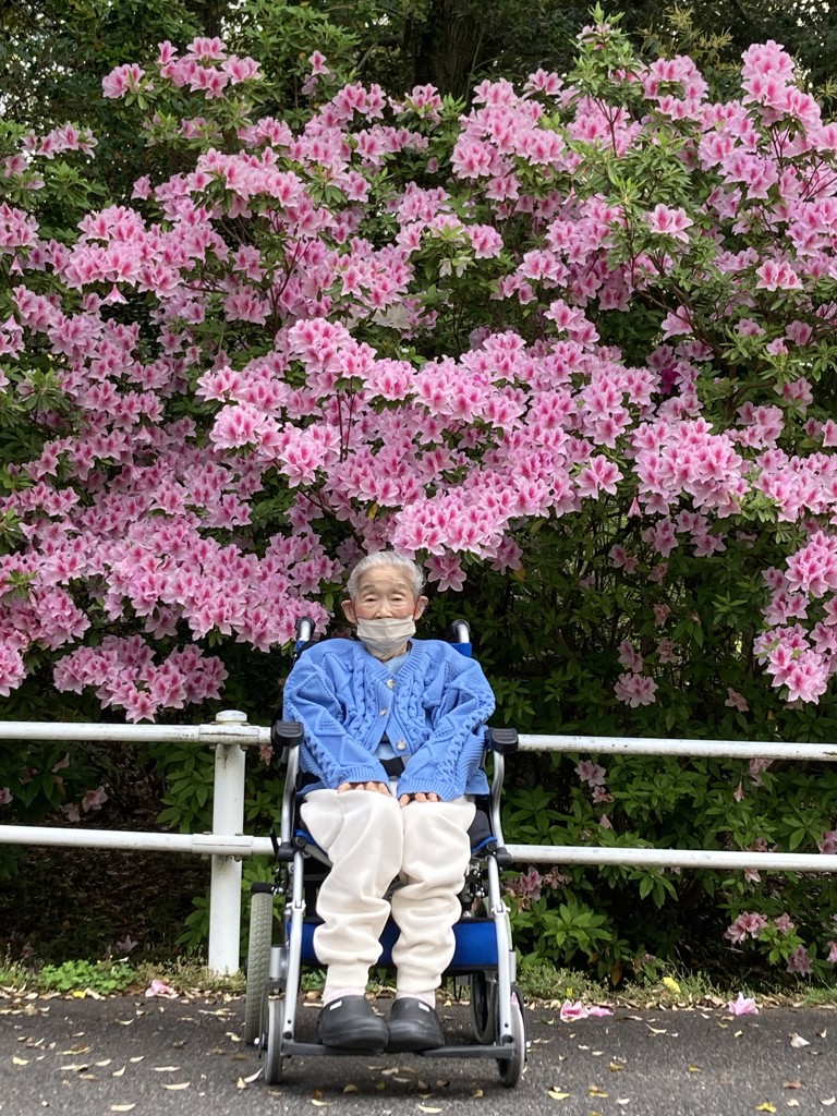 投稿写真