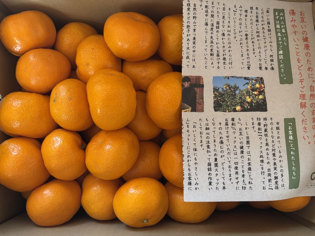 新品未開封 オールド ビンテージBee 2個セット 激レア ピュア・エキストラ 450g2本セット ｜ 井上誠耕園